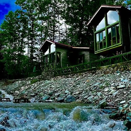 Doga Su Minimal Evler Villa Sapanca Exteriör bild