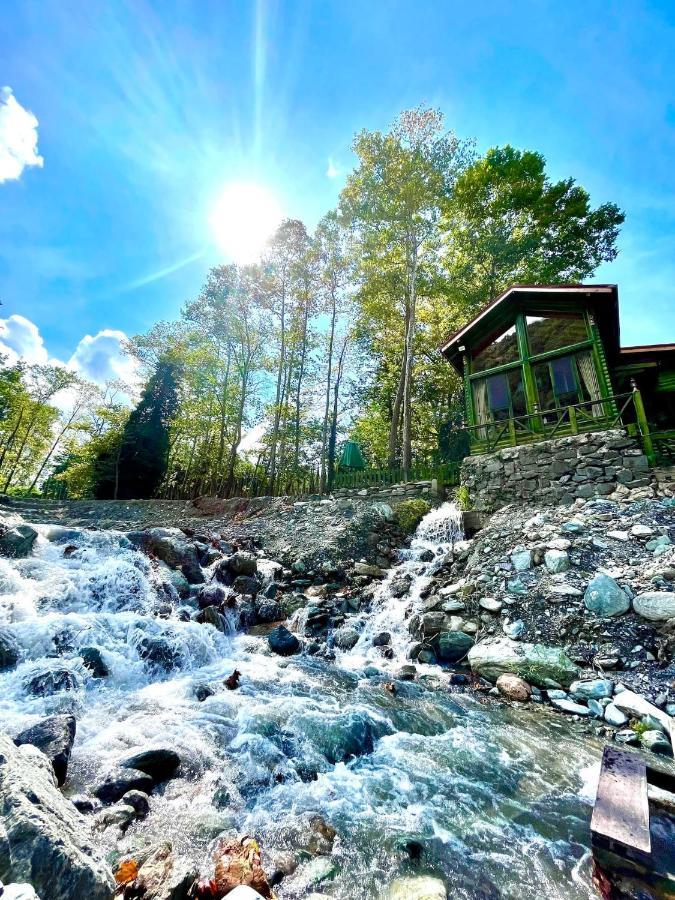 Doga Su Minimal Evler Villa Sapanca Exteriör bild